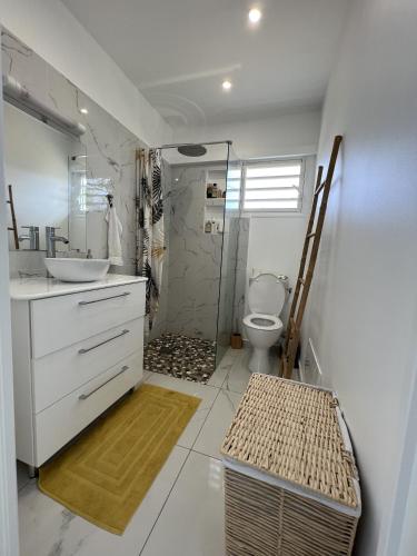 旧阿比唐Villa C的带淋浴、卫生间和盥洗盆的浴室