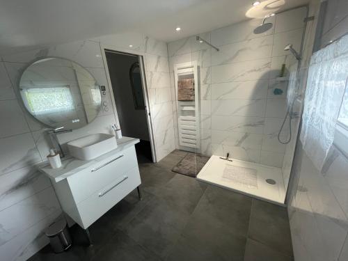斯特拉斯堡Maisonnette avec terrasse的白色的浴室设有水槽和镜子