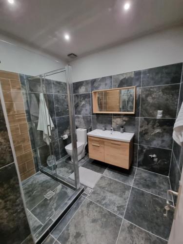 埃雷特里亚E&D Apartments的带淋浴、卫生间和盥洗盆的浴室