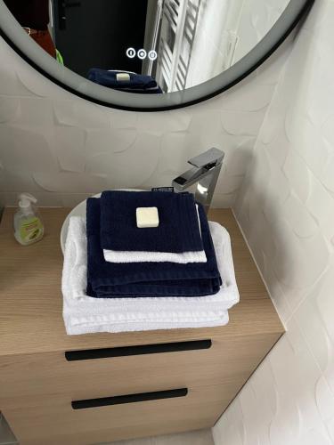 罗阿纳Appartement centre de Roanne 38m2的浴室设有镜子和蓝白毛巾