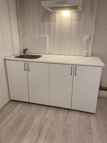 奥斯陆Hybel i gamle Oslo的白色的厨房设有水槽和台面