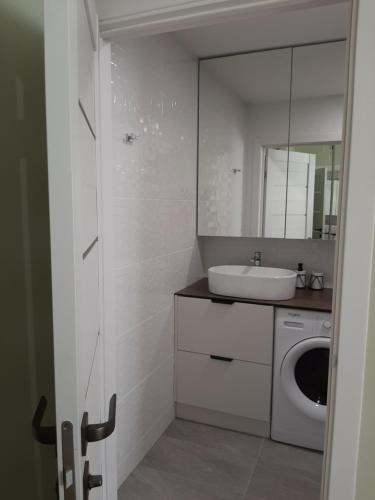 希奥利艾Visinskio apartamentai的一间带水槽和洗衣机的浴室