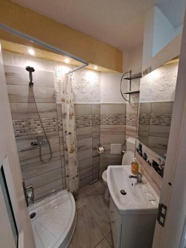 拉姆尼库沃尔恰Dovali apartment的一间带卫生间和水槽的浴室