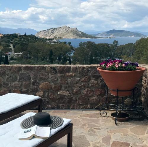 爱琴娜岛serenity villa Aegina fantastic view near the beach的墙上有花盆的庭院