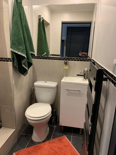 里摩日Chambre complètement indépendante !的浴室配有白色卫生间和盥洗盆。