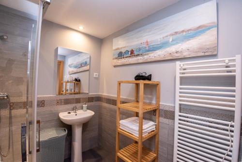 利亚内斯Cerezal 3, Loft en plena naturaleza的一间带水槽和淋浴的浴室