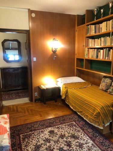 圣文森特Appartamento con vista panoramica的一间卧室设有两张床和书架