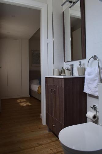 蒙考Casa dos Picoutos AL的一间带水槽和镜子的浴室