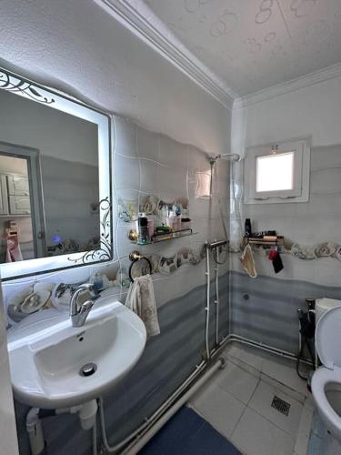 阿尔及尔Charmant Appartement vue sur mer的一间带水槽、镜子和淋浴的浴室