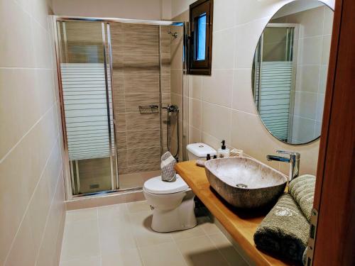 克里奥斯Villa Karina的一间带水槽、卫生间和镜子的浴室