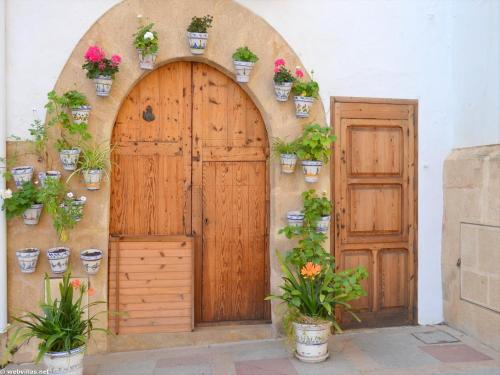 哈维亚Casa Stefanie的一座种植了盆栽植物的房子的入口
