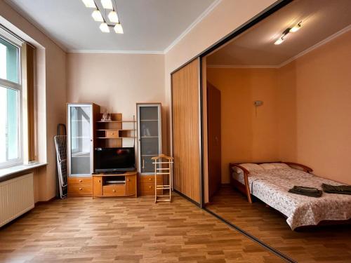 利沃夫Apartaments near Ploshcha Rynok的一间卧室配有一张床、一台电视和一面镜子