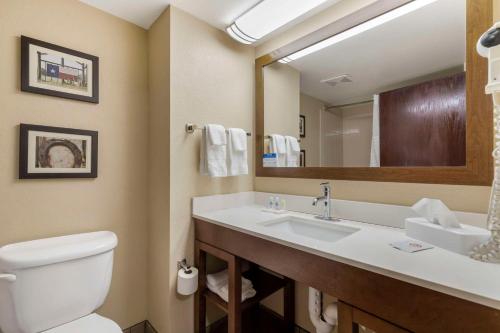 圣安东尼奥圣安东尼奥机场康福特茵酒店的一间带卫生间、水槽和镜子的浴室