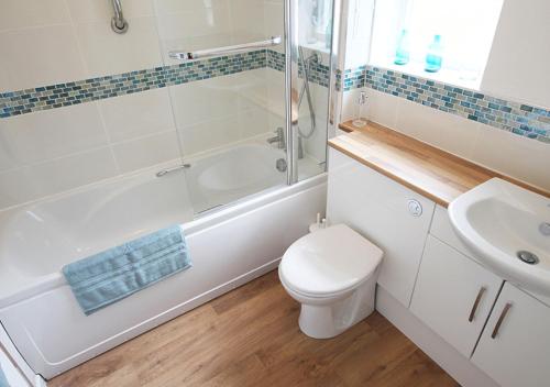 巴姆博格No 9 Armstrong Cottage的浴室配有卫生间、淋浴和盥洗盆。