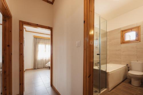 尼亚·卡利克拉提亚Kalisun Pool House by Georgalas的一间带卫生间和玻璃淋浴间的浴室