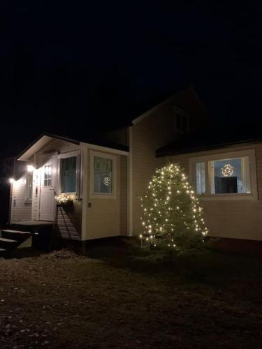 萨里耶尔维Talo Pyhä-Häkin kansallispuiston kupeessa的夜晚在房子前面的圣诞树