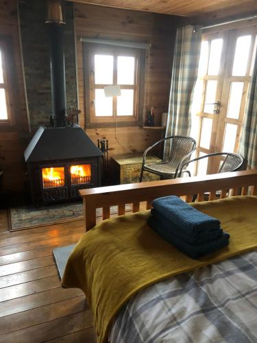 Merthyr CynogBryn Fach Log Cabin的一间卧室配有一张床和一个壁炉。