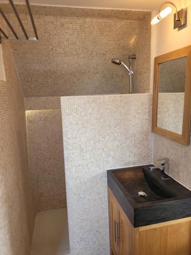 昂热Angers Green Lodge - Yellow Sun Appartement的一间带水槽和淋浴的浴室
