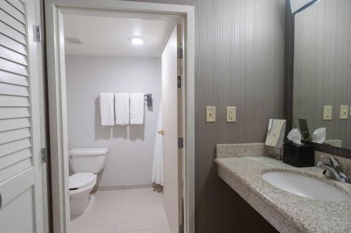 威洛比克利夫兰威洛比万怡酒店的一间带卫生间和水槽的浴室
