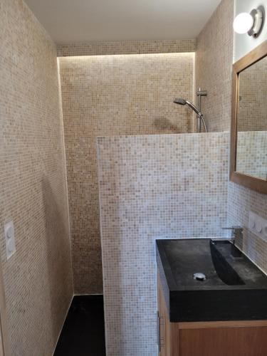 昂热Angers Green Lodge的浴室配有盥洗盆和带镜子的淋浴