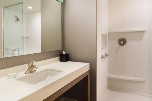 霍斯黑兹埃尔米拉霍斯赫德万怡酒店的一间带水槽和镜子的浴室