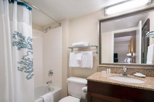 长滩Residence Inn by Marriott Long Beach的一间带水槽、卫生间和镜子的浴室