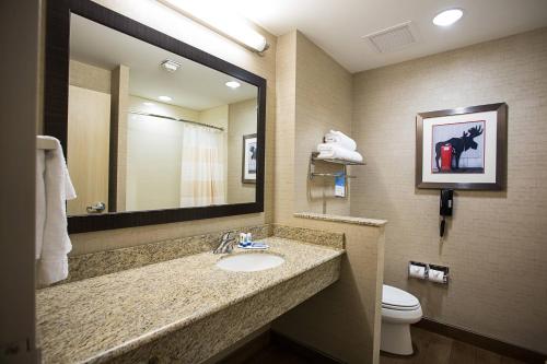 莫斯科Fairfield Inn & Suites by Marriott Moscow的一间带水槽、卫生间和镜子的浴室