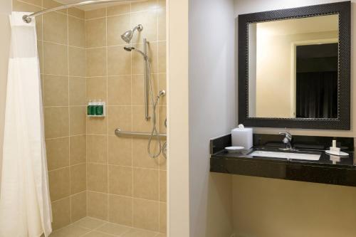 圣地亚哥圣地亚哥老城区费尔菲尔德客栈的带淋浴、盥洗盆和镜子的浴室
