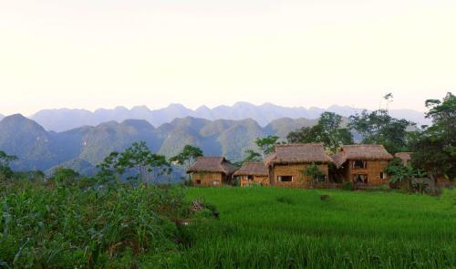 Pu LuongPu Luong Jungle Lodge的山地的一组房子