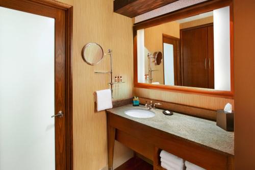 阿尔伯克基阿尔伯克基机场酒店 的一间带水槽和镜子的浴室