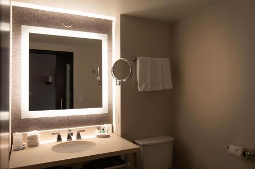 诺斯布鲁克芝加哥诺斯布鲁克喜来登酒店的一间带水槽和镜子的浴室