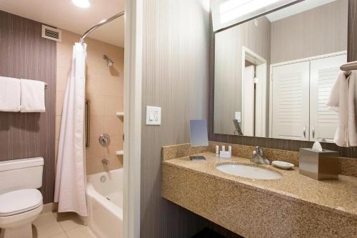 罗切斯特罗彻斯特布赖顿万怡酒店的一间带水槽、卫生间和镜子的浴室
