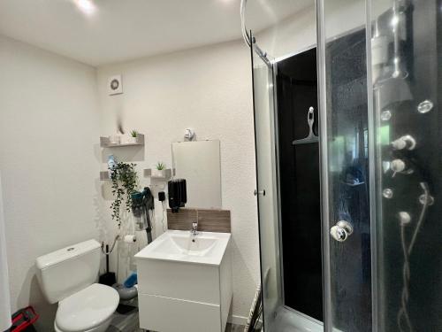 克莱蒙费朗STUDIO Av MARX DORMOY CLERMONT CENTRE B的浴室配有卫生间、盥洗盆和淋浴。