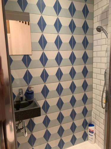 色当Tiny House Sedan的浴室拥有蓝色和白色的瓷砖墙壁和水槽