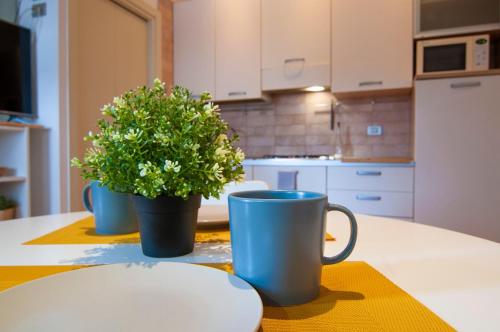 维罗纳维罗纳迪莫勒酒店的厨房里放着两个蓝杯和桌子上的植物