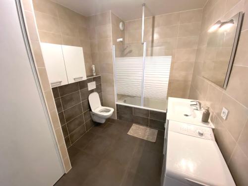 托农莱班Appartement T2 cosy centre ville的浴室配有卫生间、淋浴和盥洗盆。
