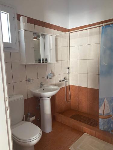 Agia TheodotiDream catcher 1的浴室配有卫生间、盥洗盆和淋浴。