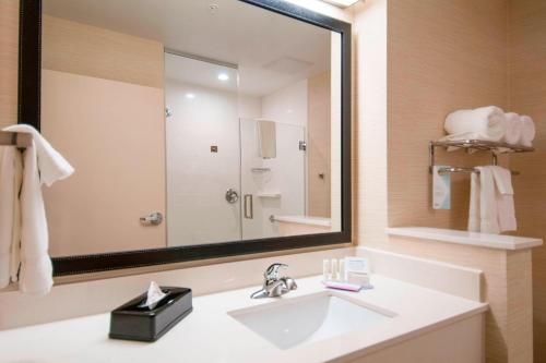 圣安东尼奥圣安东尼奥布鲁克斯城市基地万豪费尔菲尔德客栈酒店的一间带水槽和大镜子的浴室