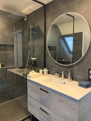 斯特拉斯堡Spacieux loft en duplex的一间带水槽和镜子的浴室