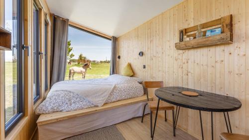 Tiny House haras Normand - 20 minutes d'Étretat的一间卧室配有床,窗户外有马匹