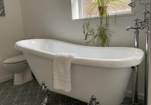 TadleyThe Broomsquire的植物浴室内的白色浴缸