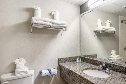 莱克兰Quality Inn Lakeland North的一间带水槽、镜子和卫生间的浴室