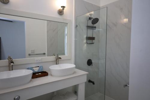 珀拉什奇亚The Ellysian Apartments的一间带两个盥洗盆和淋浴的浴室