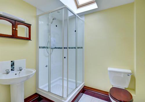 Saint MawganTrembleath Parlour的带淋浴、卫生间和盥洗盆的浴室