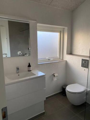 斯卡恩Fin ny moderniseret lejlighed i Skagen.的一间带卫生间、水槽和窗户的浴室