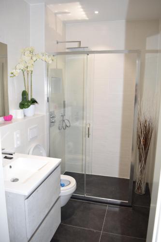 卢森堡LAWSON'S GOLD BELL STUDIO的带淋浴和卫生间的白色浴室