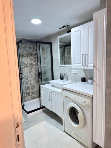 Karşıyakaan apartment in a decent neighborhood的一间带洗衣机和水槽的浴室
