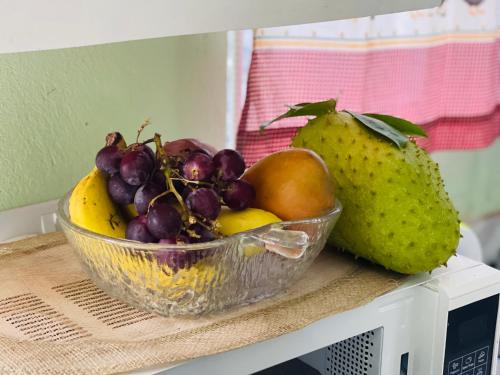金斯敦Evergreen的坐在微波炉上的一个水果碗