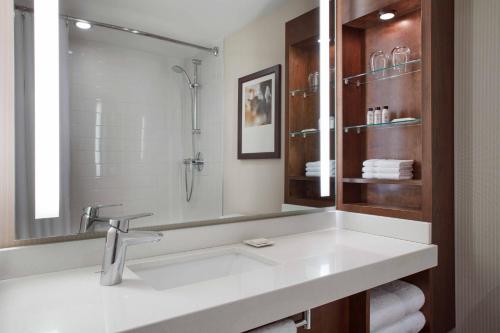 渥太华渥太华市中心万豪德尔塔酒店的一间带水槽和淋浴的浴室