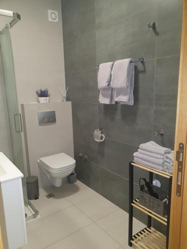 诺维萨德Sajam 1的浴室设有卫生间和带毛巾的淋浴。